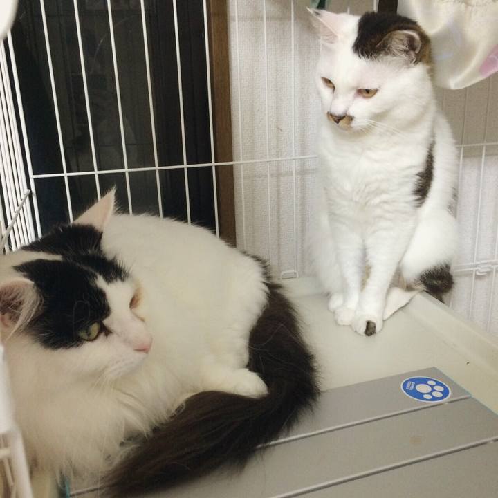 D02880b2 f4d3 49b9 a250 0ee547787ee7 1553835633570