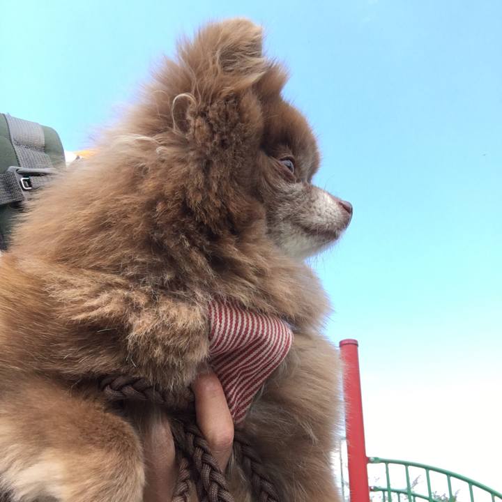 D028c391 5923 4ab0 8739 ff748fed4135 1526784271996