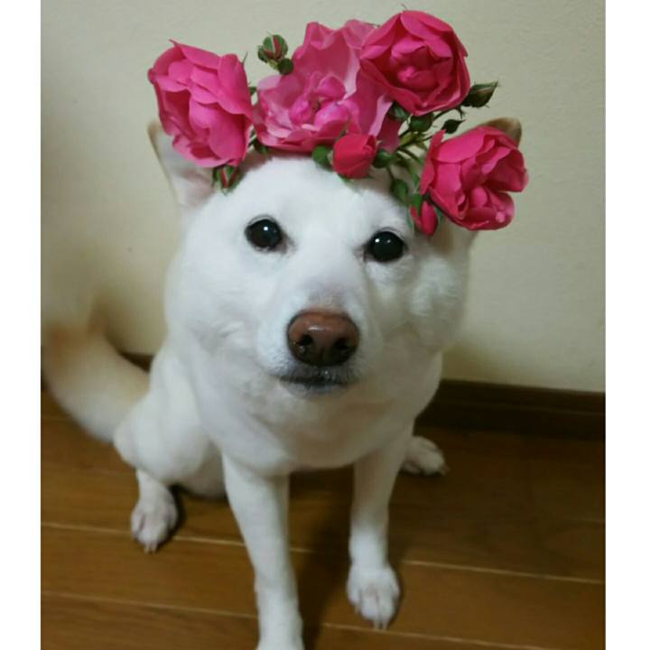 D028d158 9b95 4f19 af3b e359e744cac9 1590573569148