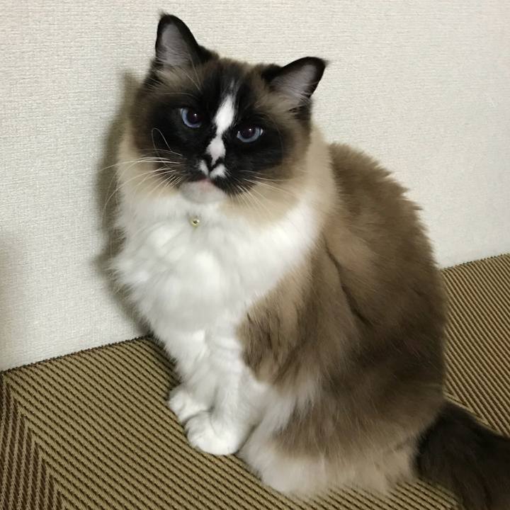 D028db94 9fbf 4645 b01f 853810d49249 1521671592709