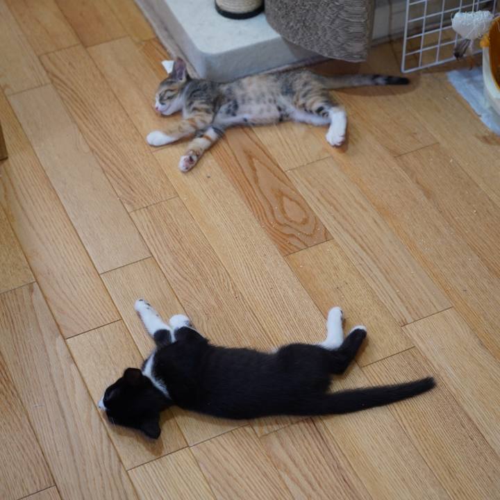 D028eebf e196 43f4 9534 b851d6739385 1567819476101