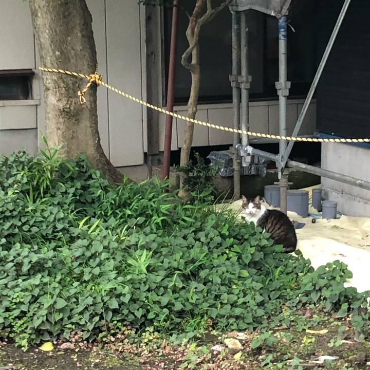 D02906fe 7e1b 496c aeab 017c77a059d3 1594648341356