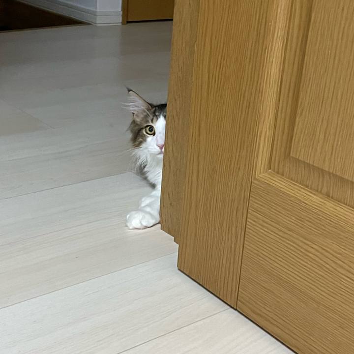 D0291031 5021 429f b579 2d629d2c3bba 1637185620608