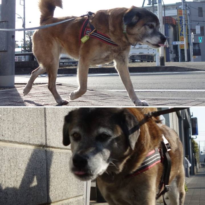 D0293c1d ea57 4d15 a557 b4762a70bcb2 1550316480351