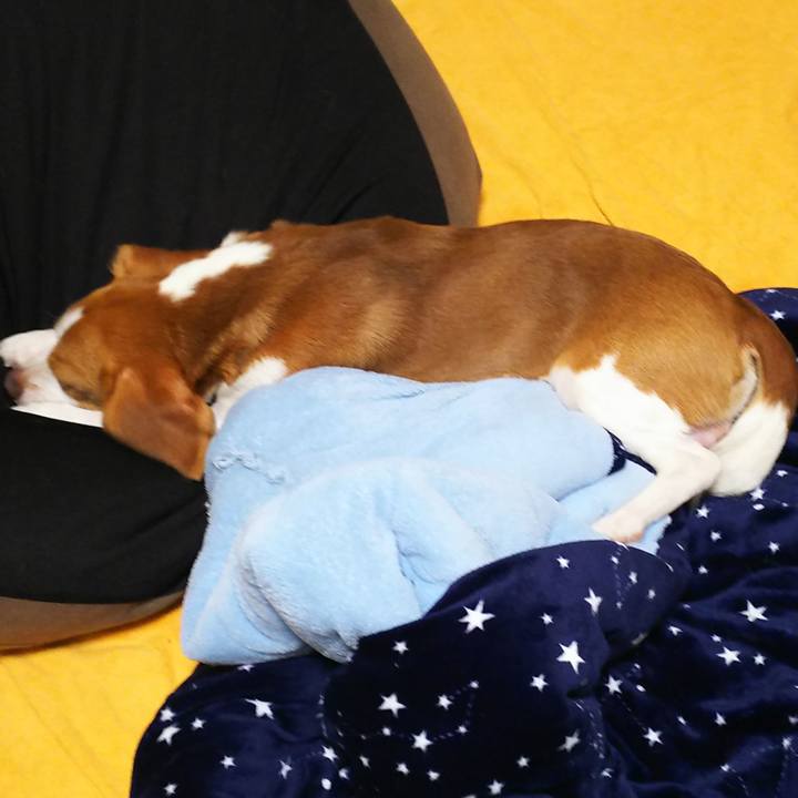 D0294f0f facf 49ca a63a c30420d44292 1551624247840