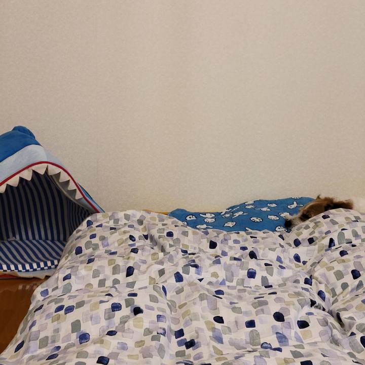 D029635e 015c 44ed 8d27 d4498b340f5e 1699131891725