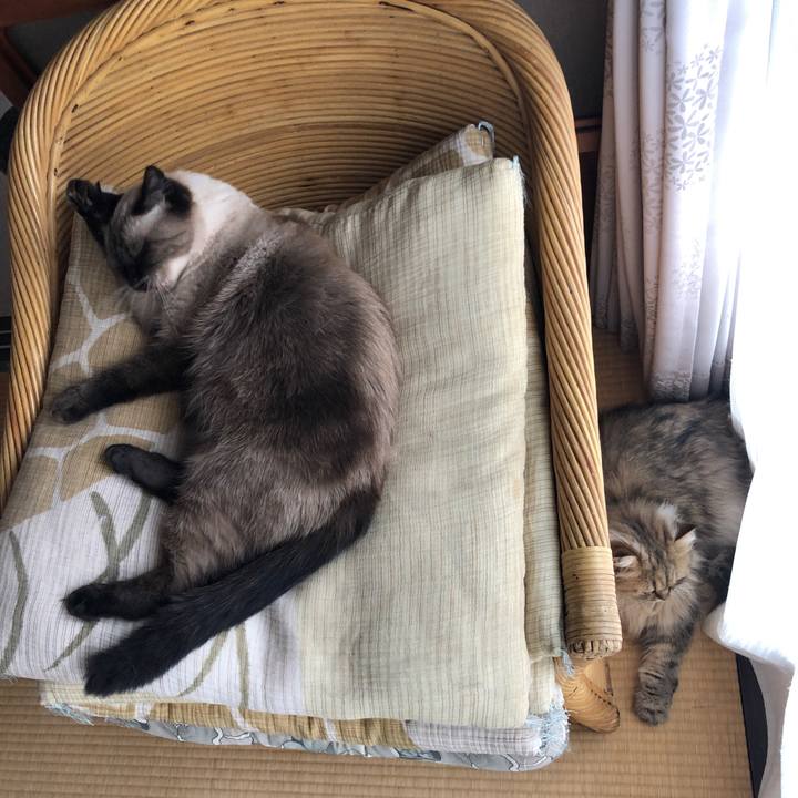 D0297be6 6c35 4b68 b579 bec8f7317480 1631190984577