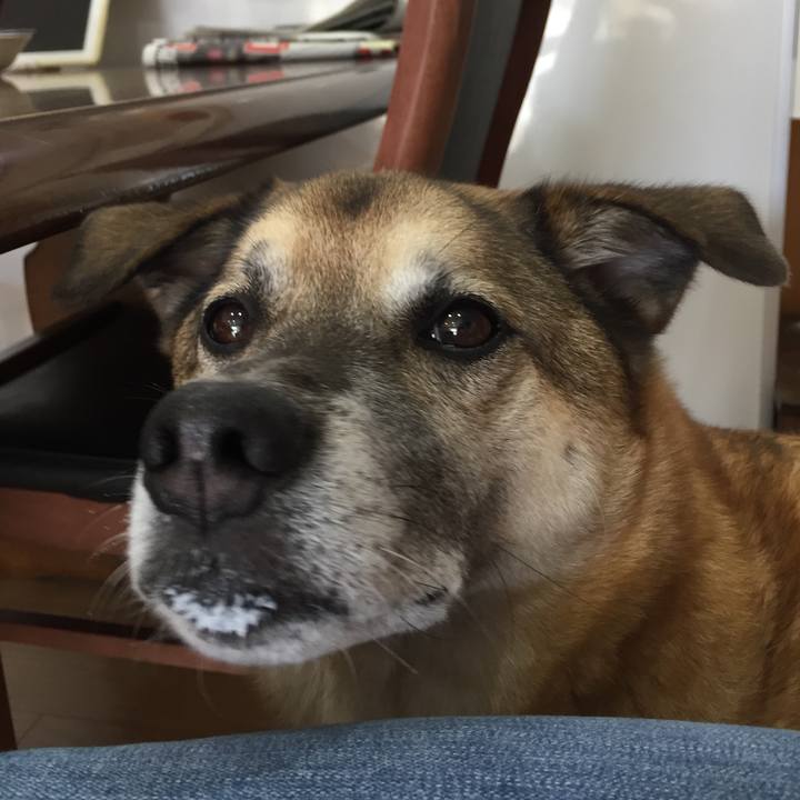 D0297eef a9b2 4fd4 8d0b 34bfb1358882 1538478789166