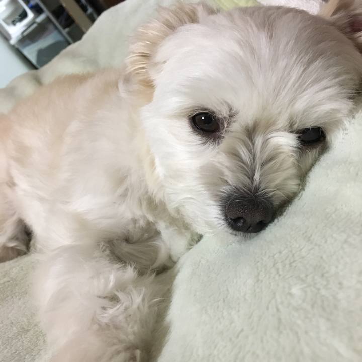 D0298083 bae6 40cc acb1 1bd7ffd49ac7 1519731968502