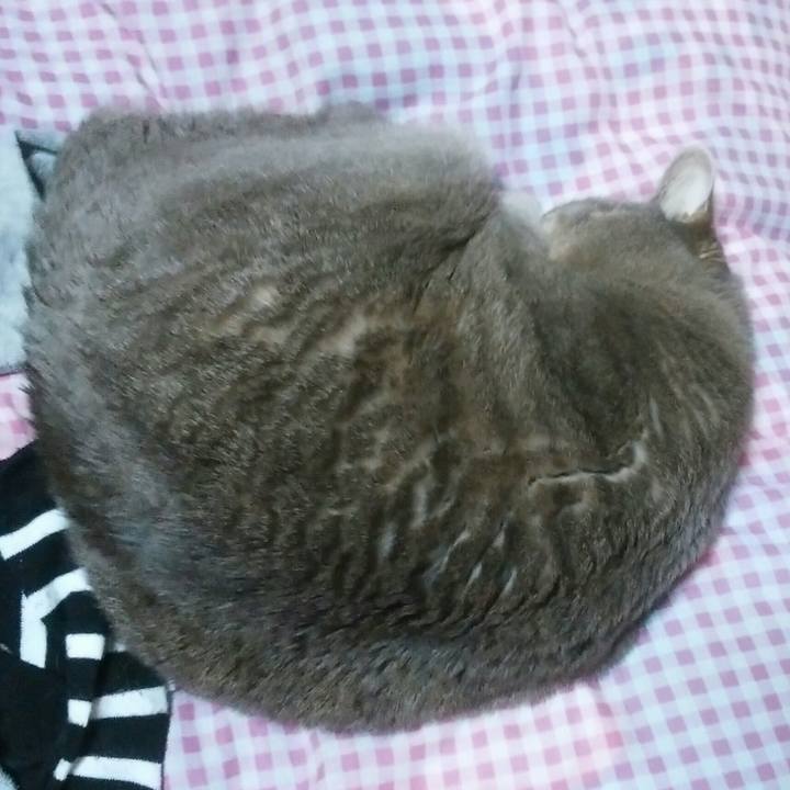 D029ac40 86dd 4ae7 b873 62804771f9bd 1547986293028