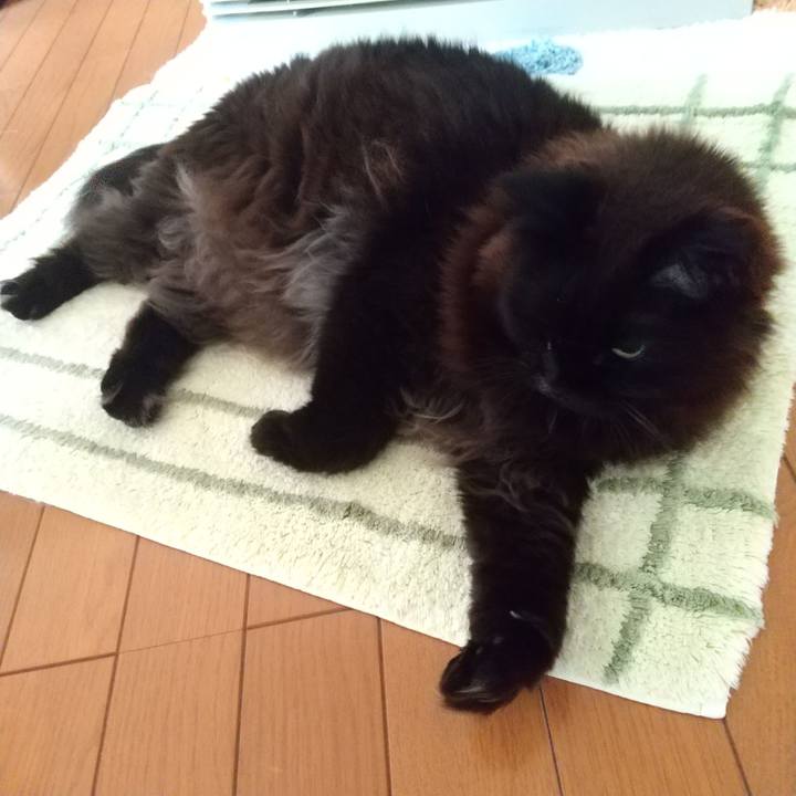 D029cbbe f54e 4d9c a7e9 c320d3eb1d4f 1679005875044