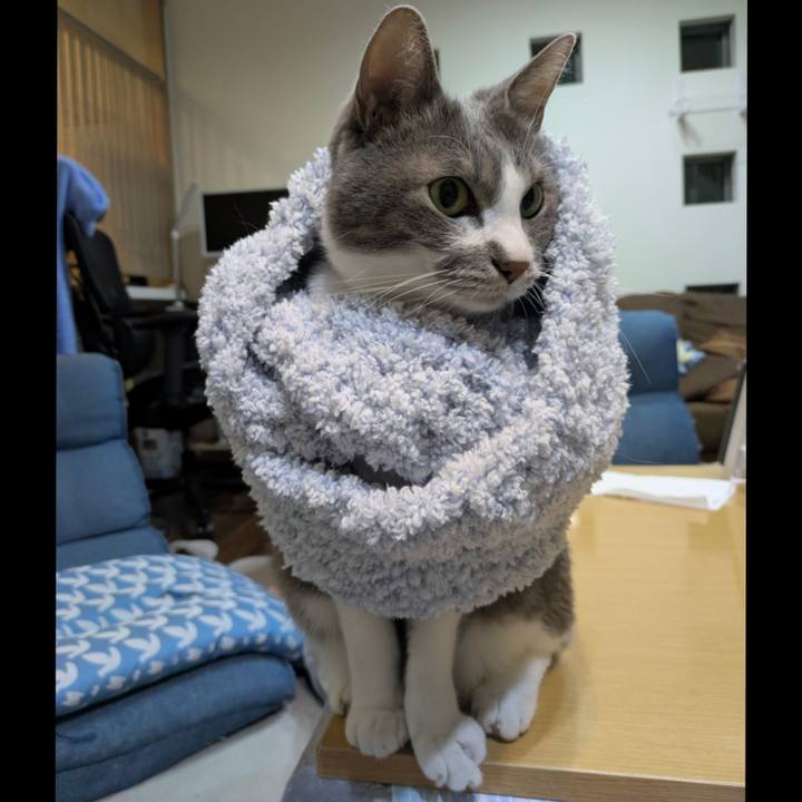 D029e8f1 ee50 4c8d 84f9 f5b0f5a9991d 1763633278864