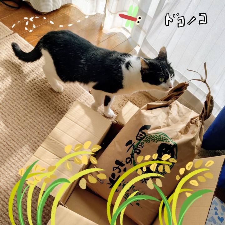 D029f57d 0bef 497e b50e 83b074180416 1763011802230