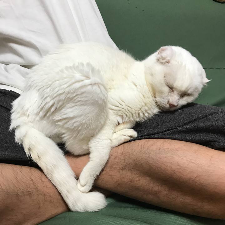 D02a04e0 d1d3 439b b71a 45afc4714b04 1538401610913