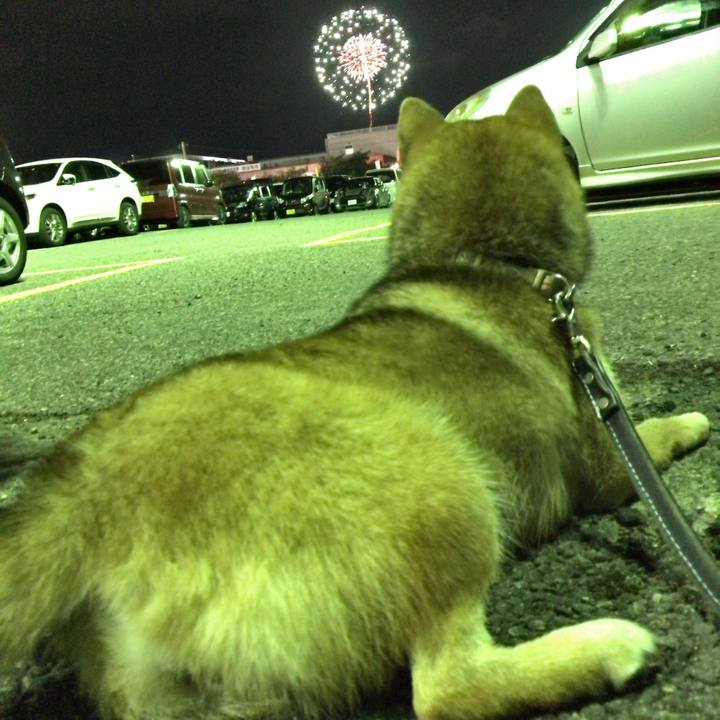 D02a1b91 61d5 456d ab62 20de9fe93cb2 1566731775926