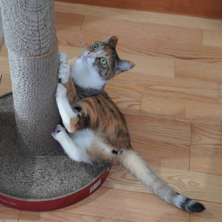 D02a5706 5d96 49e0 9800 a9f3b0394845 1617539009857