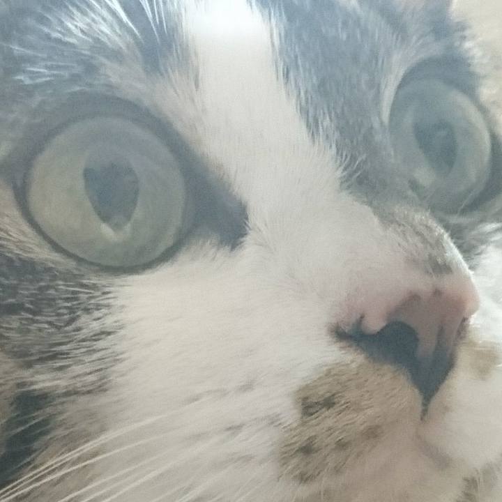 D02aa3b4 fa10 495c 9155 65e20e46e73f 1507565818272