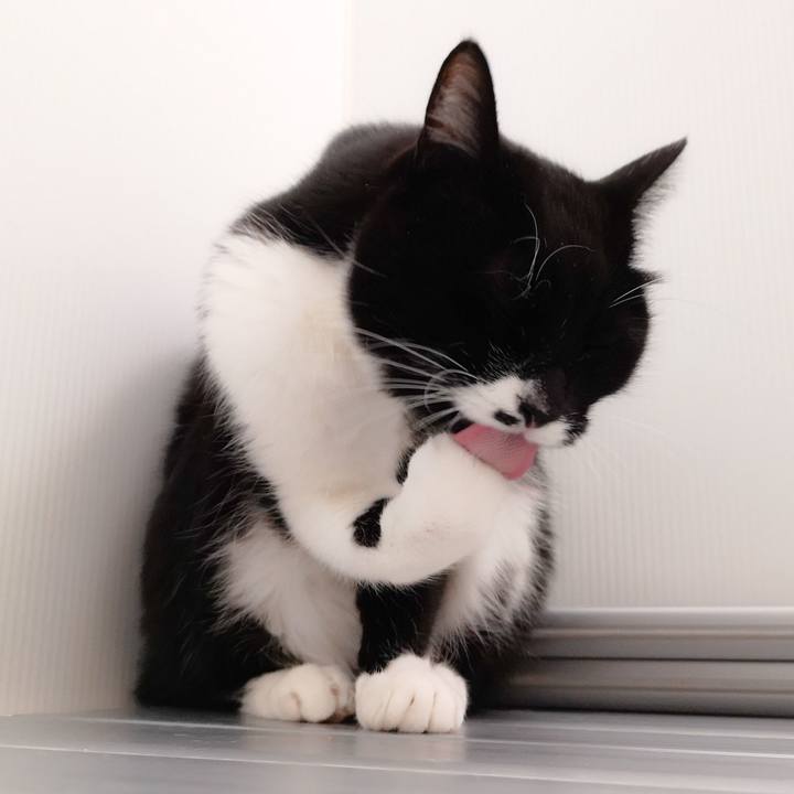 D02ac202 da97 4998 98f1 868d4b095f20 1548432520705