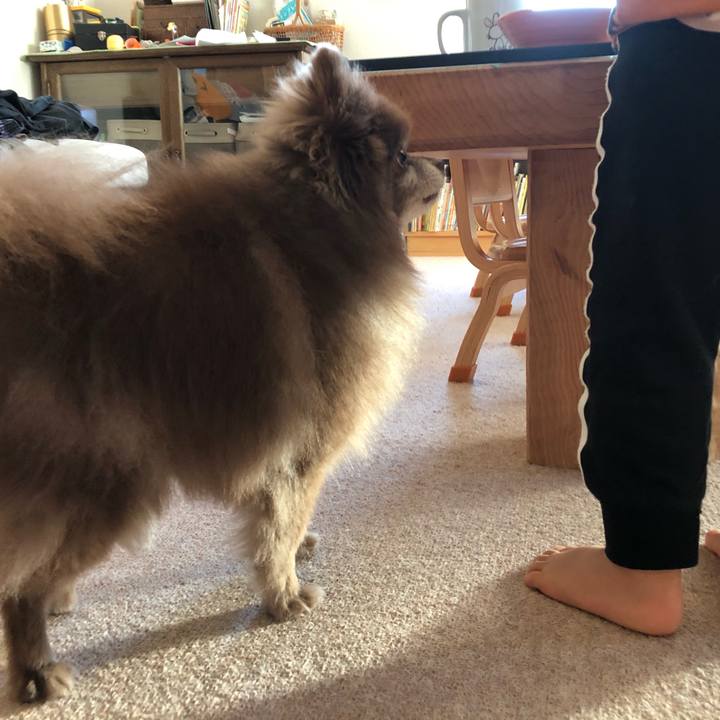 D02ad138 b533 47bf 8670 5316128f1079 1633910599539