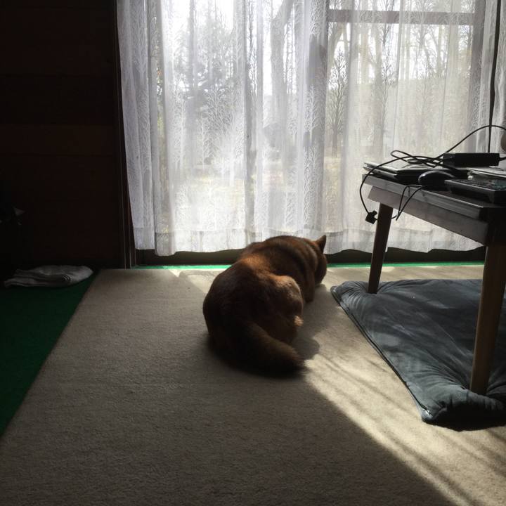 D02adf67 852d 42f1 972f 1c433520821d 1556840530413