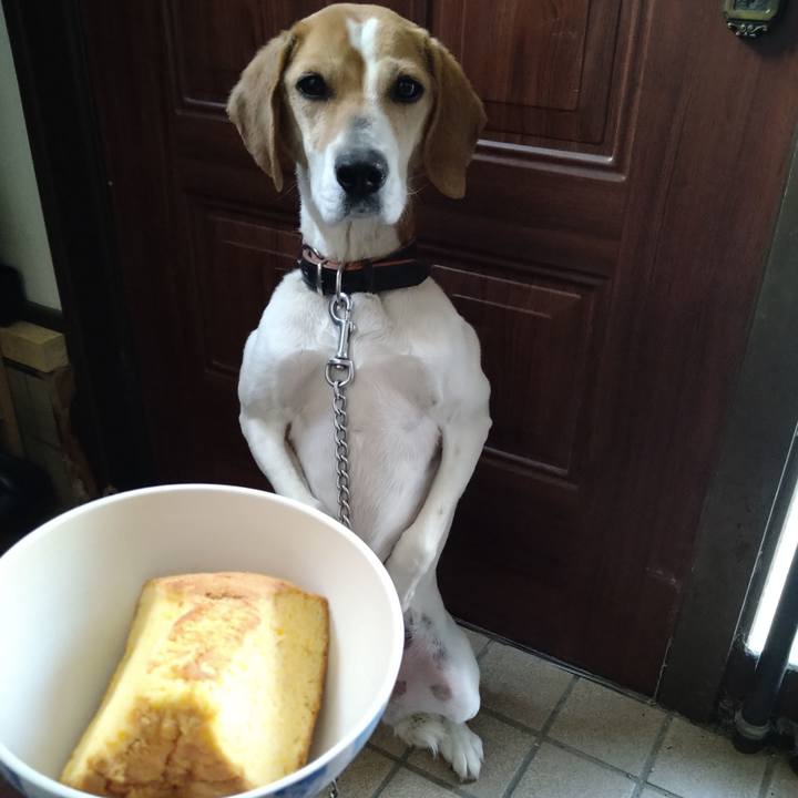 D02ae191 132e 4e33 ac1a 5bf3f69a65db 1651564910368