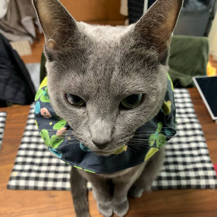 D02ae370 edf1 4c3d b41c 51876e013e00 1643862167228