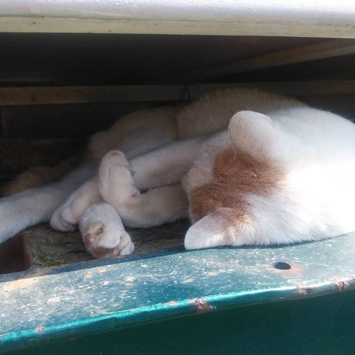 D02af77a 3442 4dee 9171 473c51c1b4a2 1598318758875