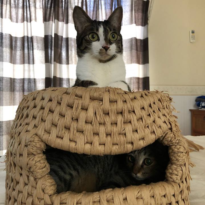 D02b1356 5401 48b7 92d1 950cf91f31df 1530243703048