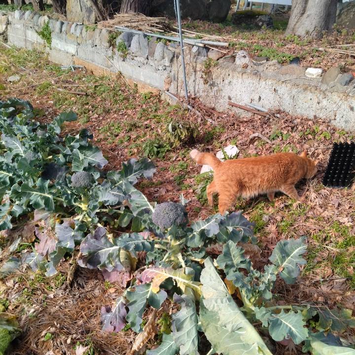 D02b1c49 e567 43ee 8761 59efa1bd6f05 1766290657788