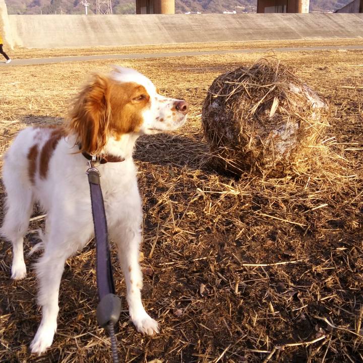 D02b3e65 c136 4d6a 8ca5 3807b8e578ae 1518436370800