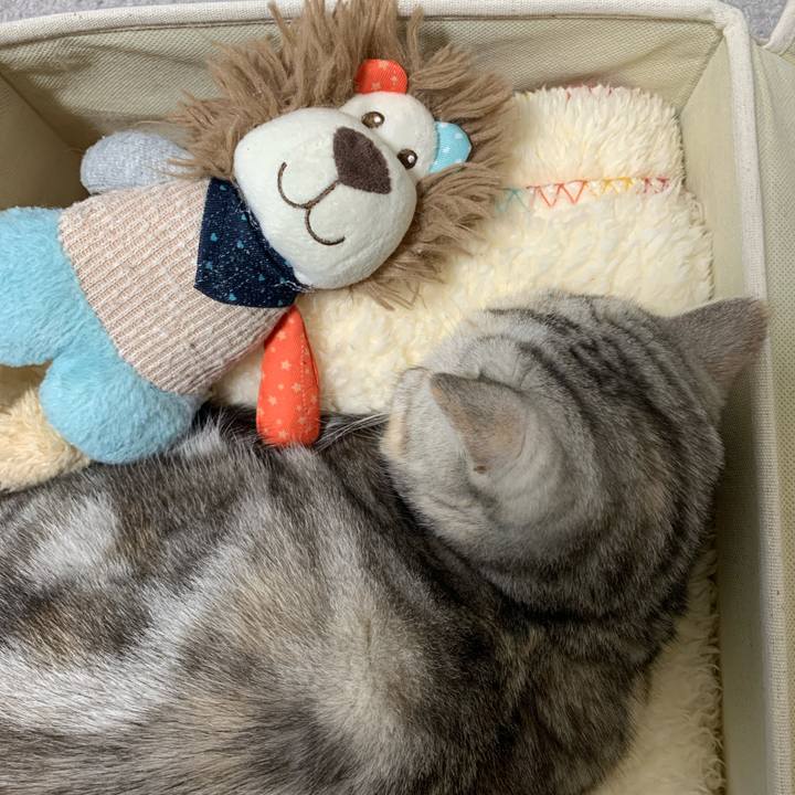 D02bc28e 6ae5 4682 ab90 5a66cb9dc224 1705796908773