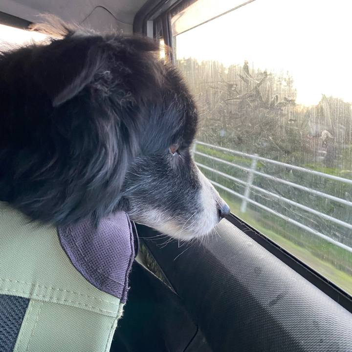 D02bd8d5 5b87 4426 83e0 f27721483a3f 1678658274454