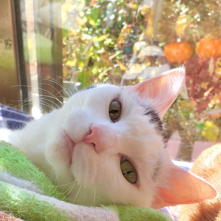 D02bf15d 91b6 4d33 a854 b728394f3ad9 1605164844621