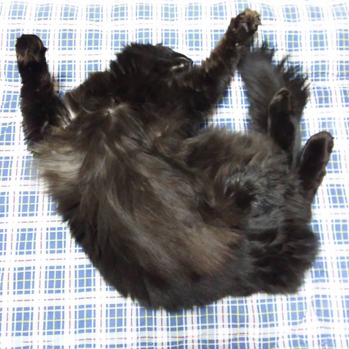 D02c13c8 aa98 4e34 b8ab 58181e5d67c1 1514458515336