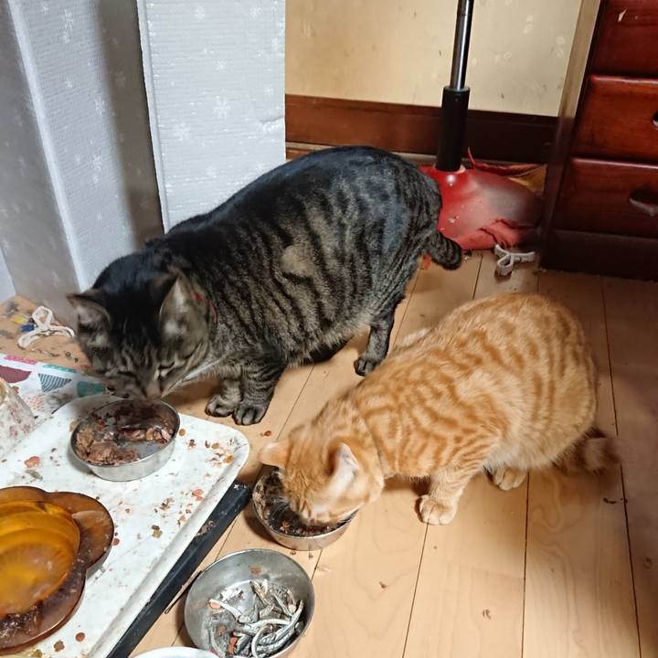 D02c4db3 3904 4931 8a27 01c5ea760e4c 1642759825987