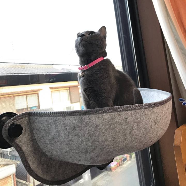 D02c5869 bb2f 420b 82e8 f8be854cf039 1553821877106