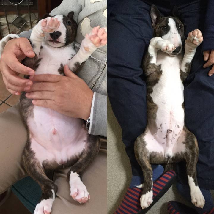 D02c58da 6bc9 44c2 a22f 27e116259923 1551584112687