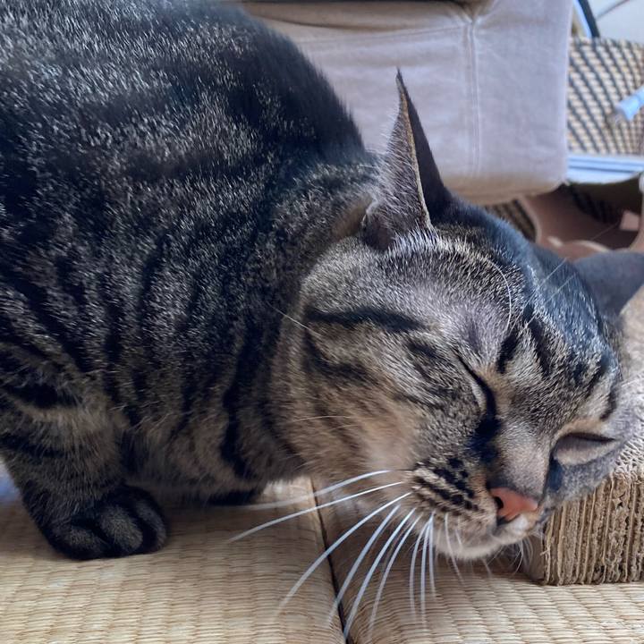 D02c5e21 9bbb 4791 93f5 8ba21a6d3153 1605924980998