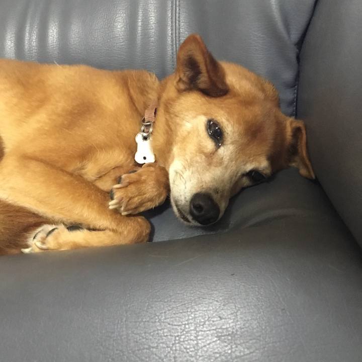 D02c612e f12e 408f abec 27d3c8ac0769 1511927962727