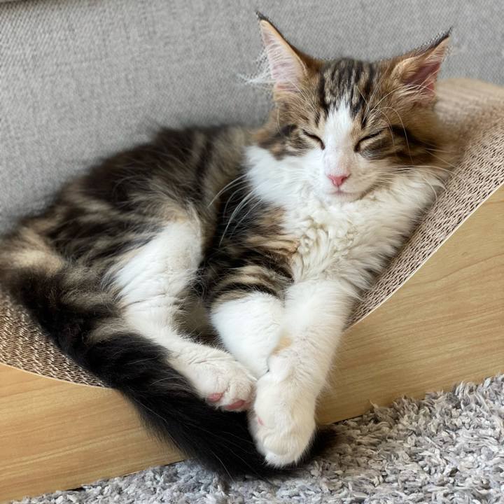 D02c6a38 3617 4148 b145 cd4c9e28294c 1633229819010