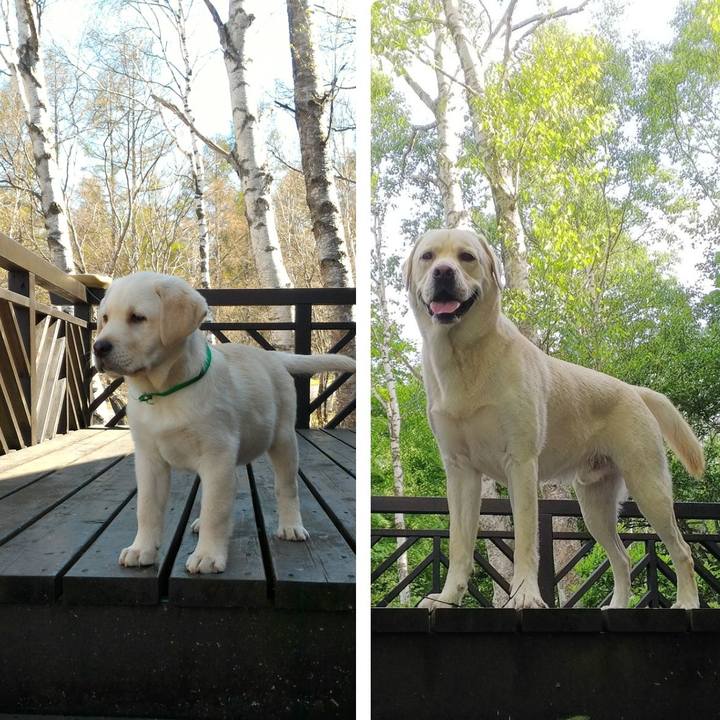 D02c6c55 c3f7 4be9 9663 42f29c3858d5 1535610577882