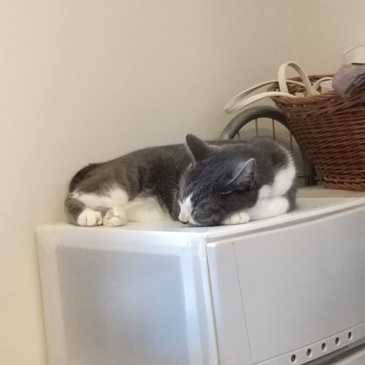 D02c911a 02fe 4567 980b 8f38c3c4855e 1628423073677