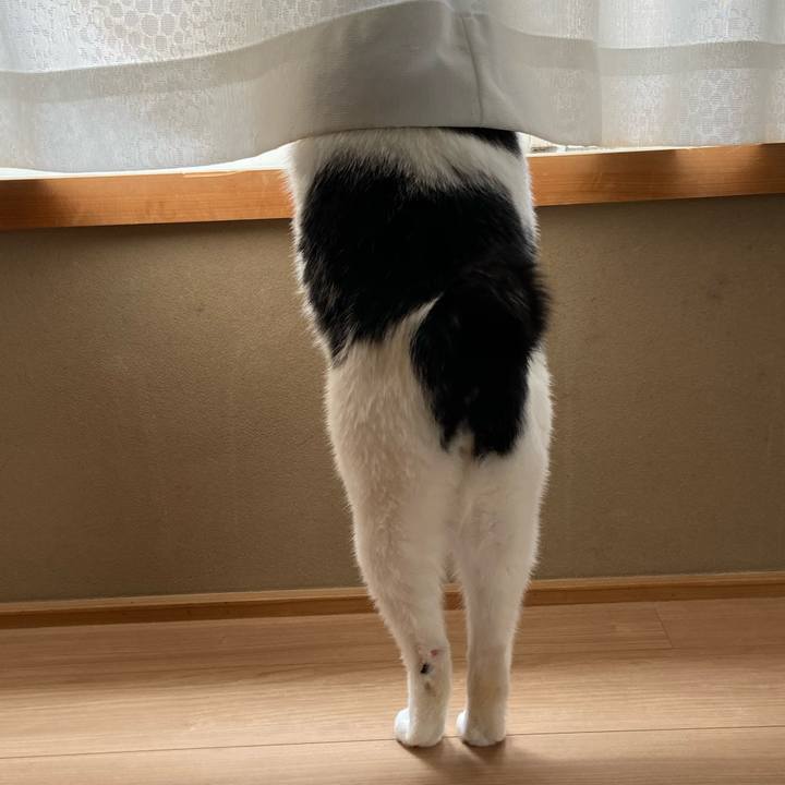 D02cba58 1ad5 4b2b 9273 ab42be710448 1586953219524