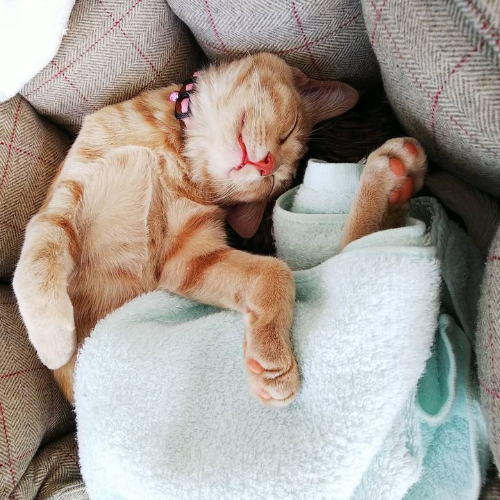 D02cbd61 687d 49ab 8387 5d6faeaf4679 1544849326045