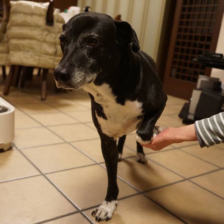 D02ccf6b a6f2 4c1e ba8c ded4951fb238 1765710546213