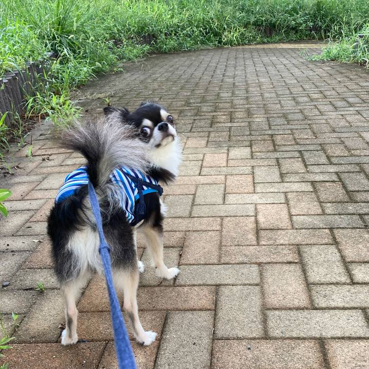 D02d58ec 57d5 4379 9e35 9db1fd858d57 1694357219310