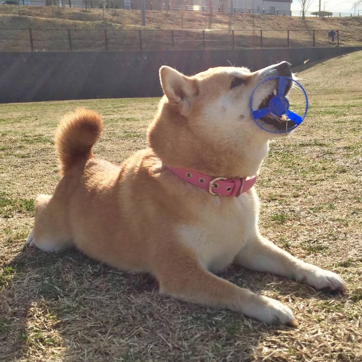 D02d6806 0889 43bd a0b6 509e0d12e055 1520423607955