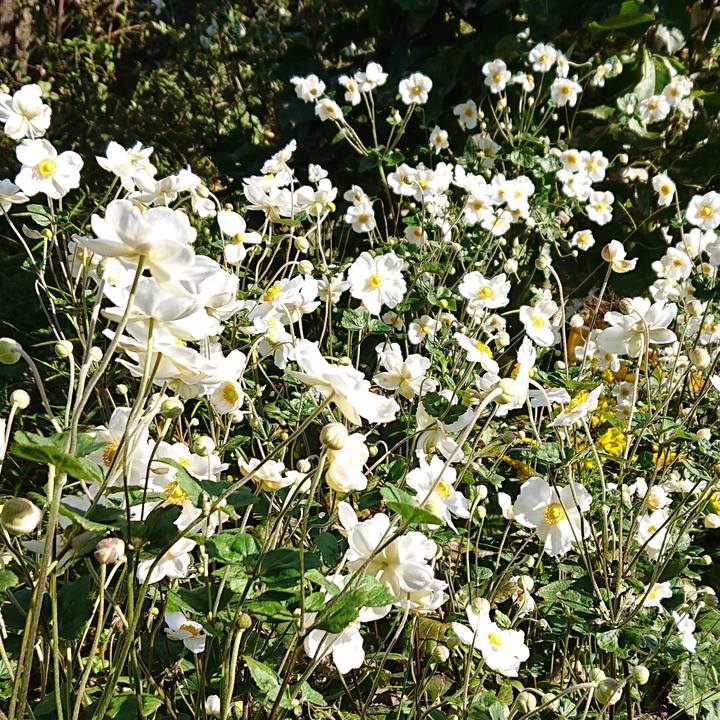 D02d6e48 b0ce 4f48 84a0 5b295d4425bb 1603206120701