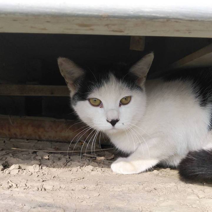 D02db924 6230 4fce b897 b72f9fb56cd1 1579848648135