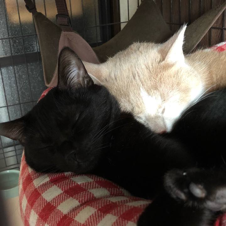 D02def63 44a1 48a1 937c ae17502be053 1511331104132